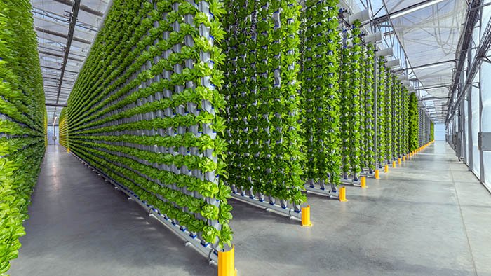 sustainable-food-production-vertical-farming